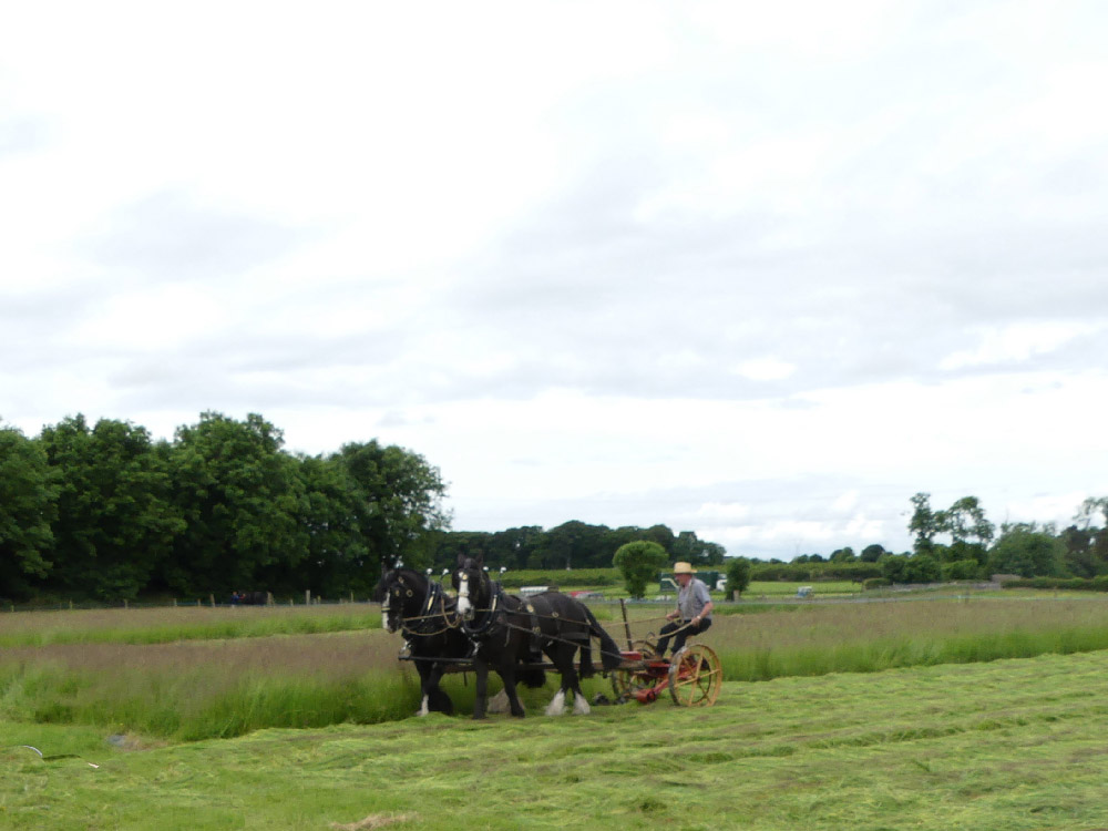 2016 Country Life Ex27
