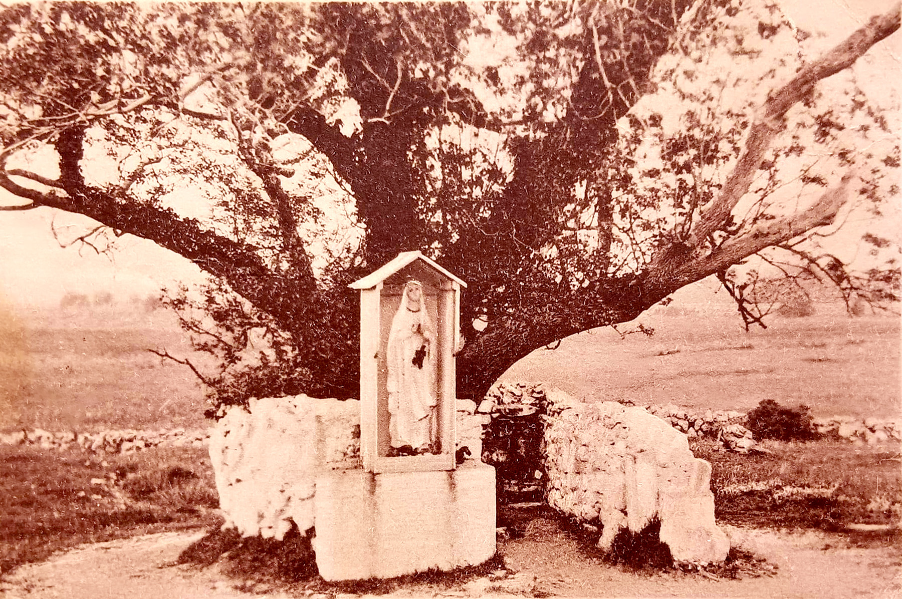 2016 Well01